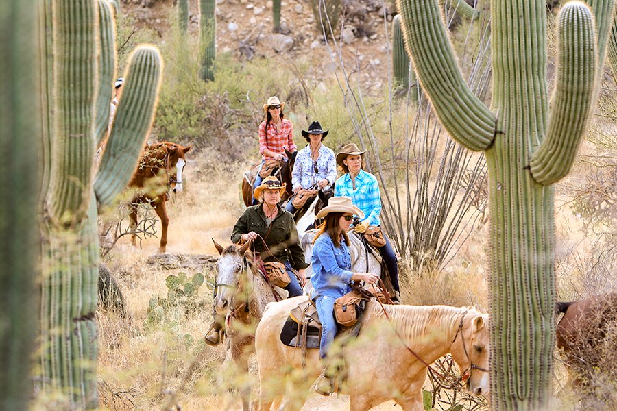 A group of people on horseback, framed by cacti, on an evening trail ride at Tanque Verde Ranch