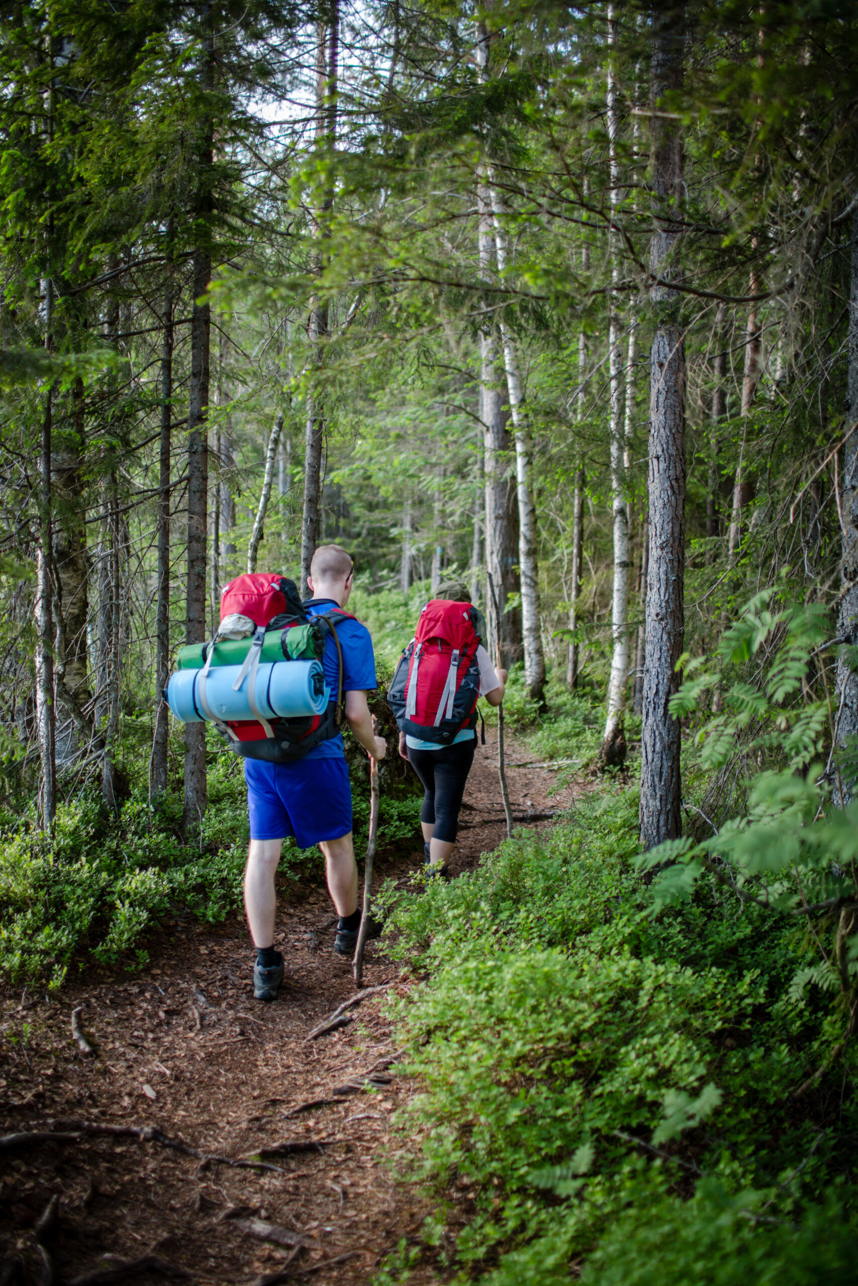 Walking on a narrow path in Nordmarka, Oslo, Norway