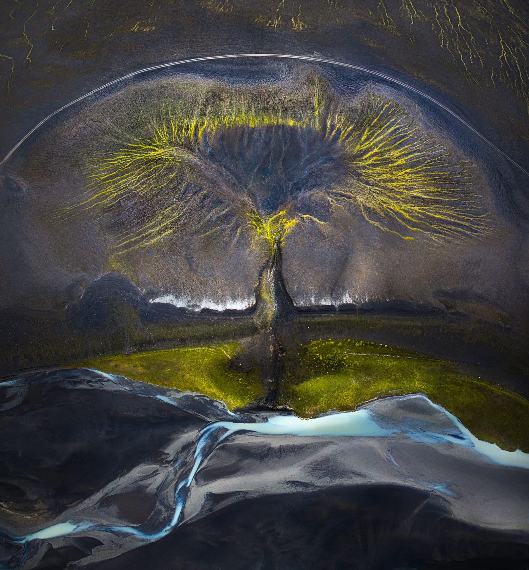 an abstract tree like image in greens, browns, and blues