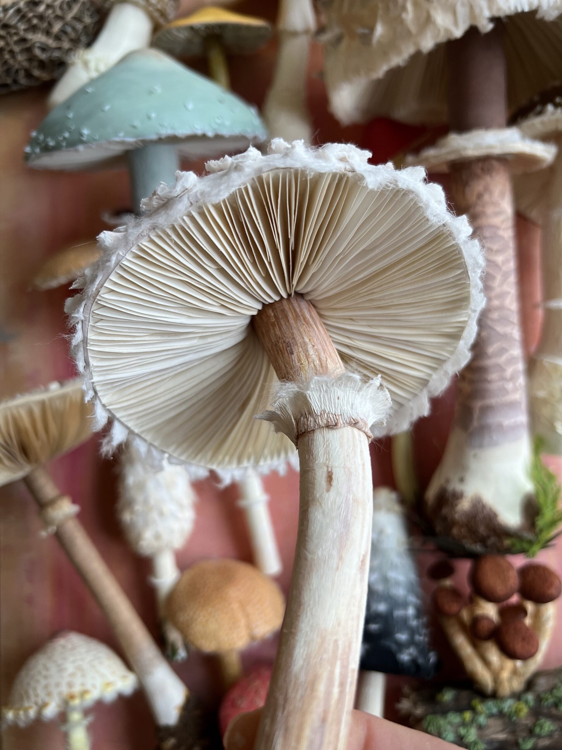 a collection of realistic paper mushroom sculptures in a variety of colors and shapes, centered on one in the foreground showing its gills