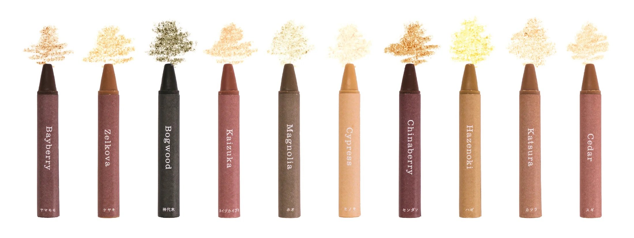 a row of colorful, crayons made from the naturally occurring colors of wood from different trees