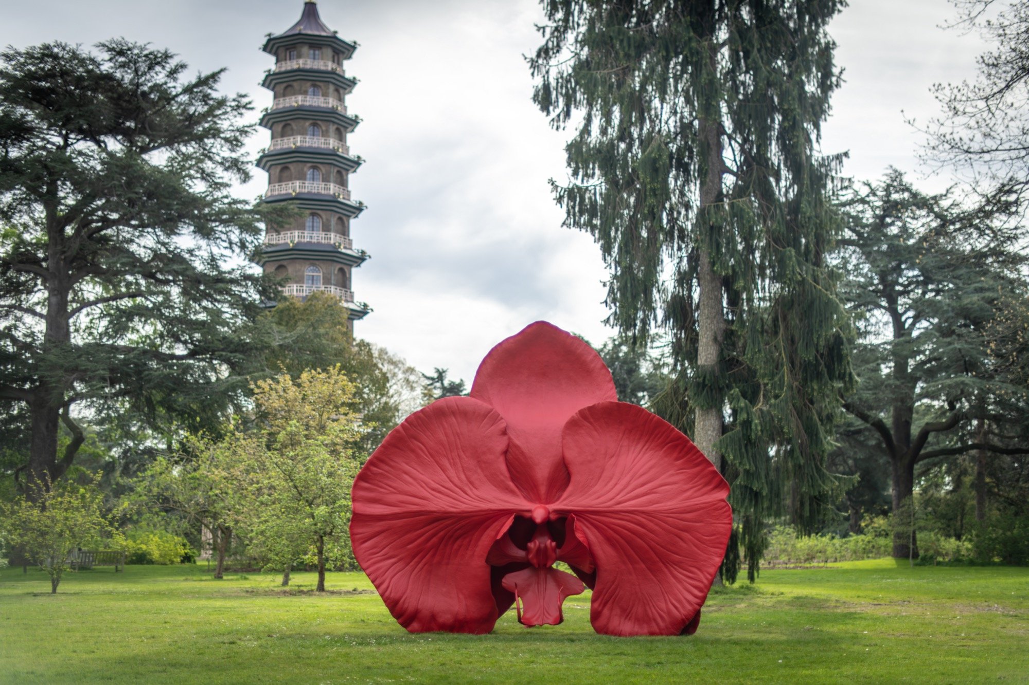 a monumental bronze sculpture of a red orchid on the lawn of RBG Kew in London