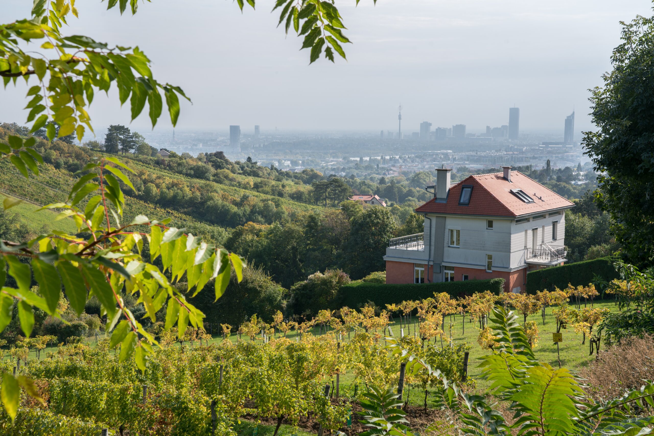 View over the wine fields around Grinzing, Vienna, Austria
